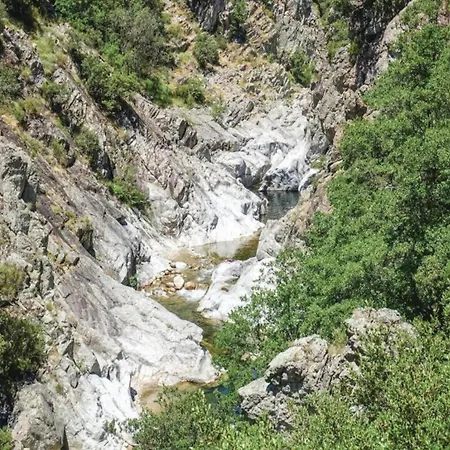 Gem Pool & Charm Courry